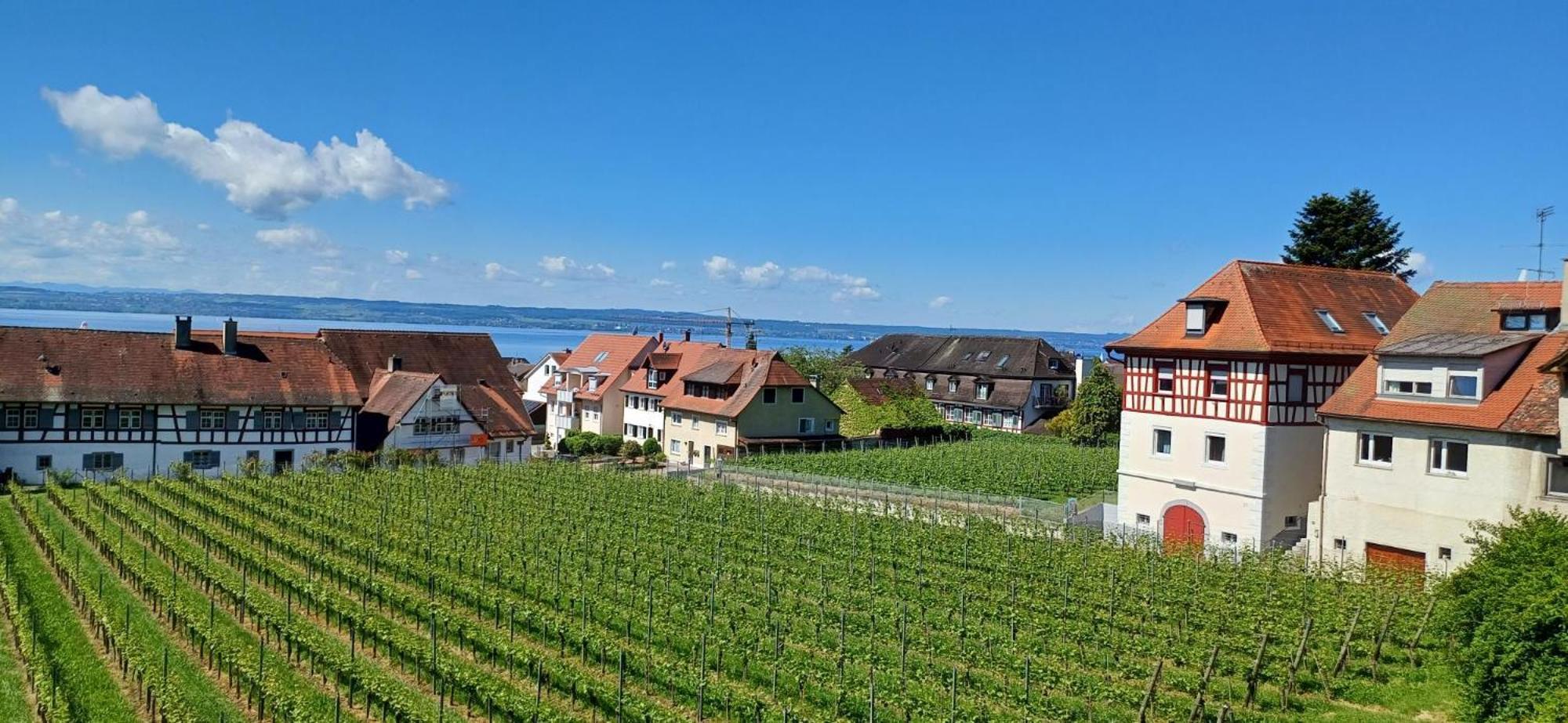 Gästehaus Ainser Hagnau am Bodensee Exterior foto